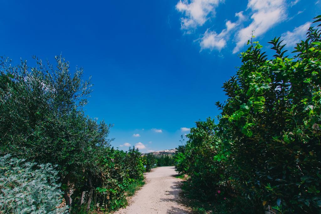 Tur Sinai Organic Farm Resort เยรูซาเลม ภายนอก รูปภาพ