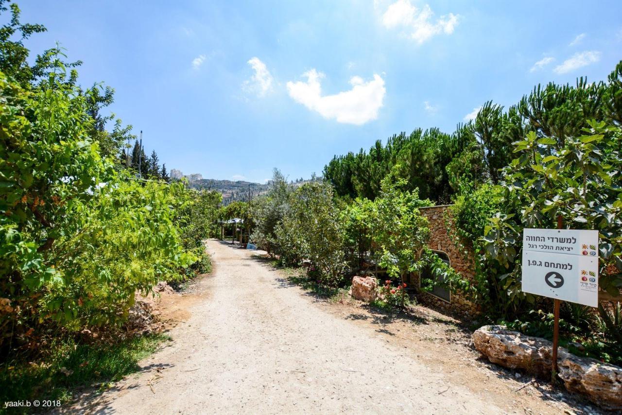 Tur Sinai Organic Farm Resort เยรูซาเลม ภายนอก รูปภาพ