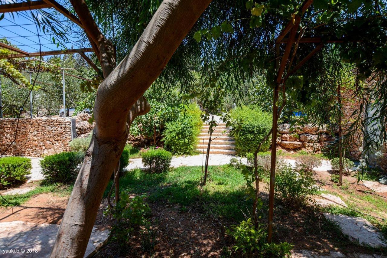 Tur Sinai Organic Farm Resort เยรูซาเลม ภายนอก รูปภาพ